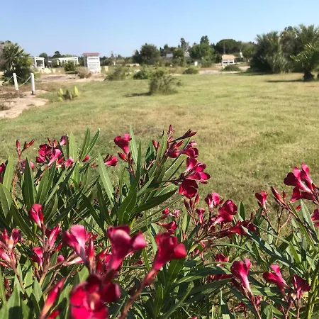 Nocleg ze śniadaniem Masseria Gelsi