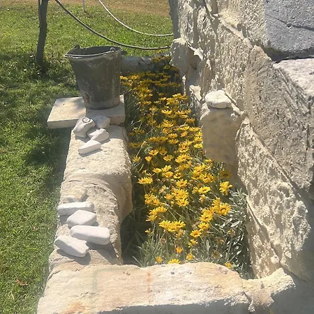Oda ve Kahvaltı Masseria Gelsi