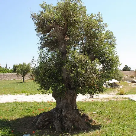 Oda ve Kahvaltı Masseria Gelsi Torre Chianca
