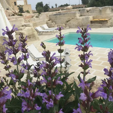 Oda ve Kahvaltı Masseria Gelsi 3*