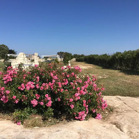 Masseria Gelsi Torre Chianca