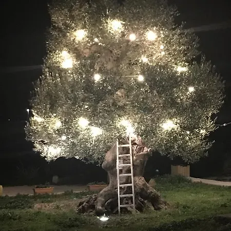 Masseria Gelsi Oda ve Kahvaltı