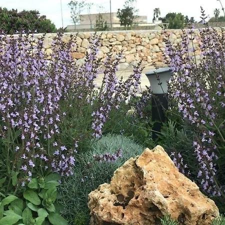 Oda ve Kahvaltı Masseria Gelsi
