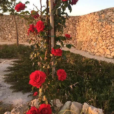 Oda ve Kahvaltı Masseria Gelsi