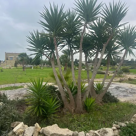 Masseria Gelsi Bed & Breakfast 4*