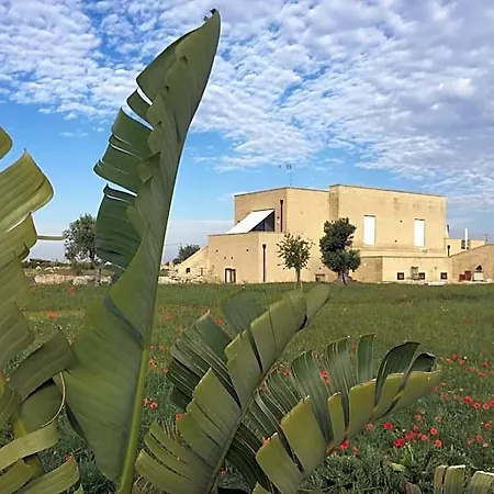 Masseria Gelsi B&B 토레 키안카