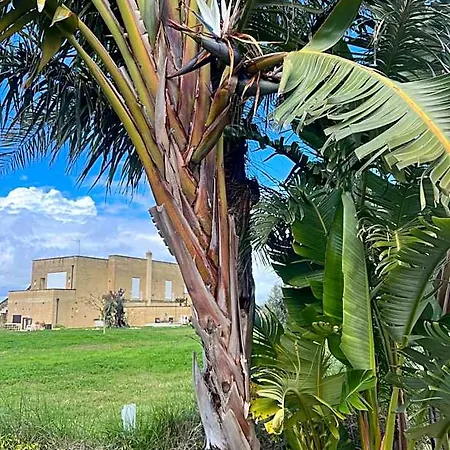 Masseria Gelsi לינה וארוחת בוקר טורה קיאנקה