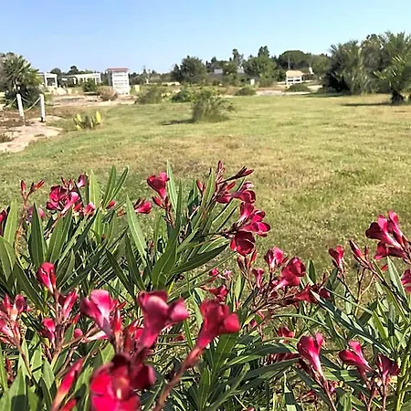 B&B Masseria Gelsi 4*