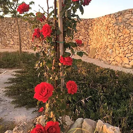 Masseria Gelsi Nocleg ze śniadaniem