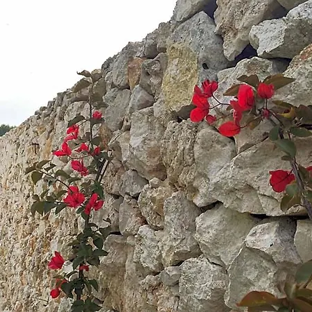 Masseria Gelsi B&B 4*