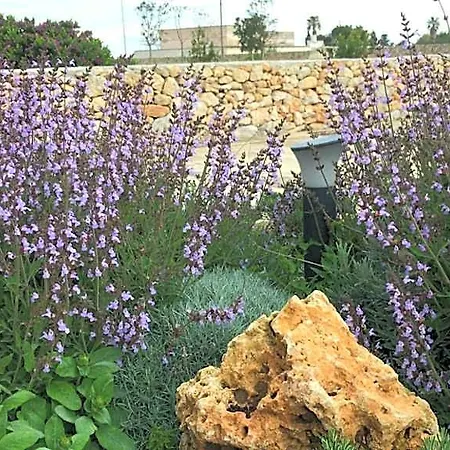 Masseria Gelsi 4* 토레 키안카