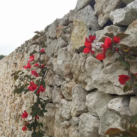 Masseria Gelsi Bed & Breakfast Torre Chianca