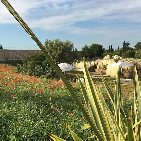 Bed & Breakfast Masseria Gelsi Torre Chianca